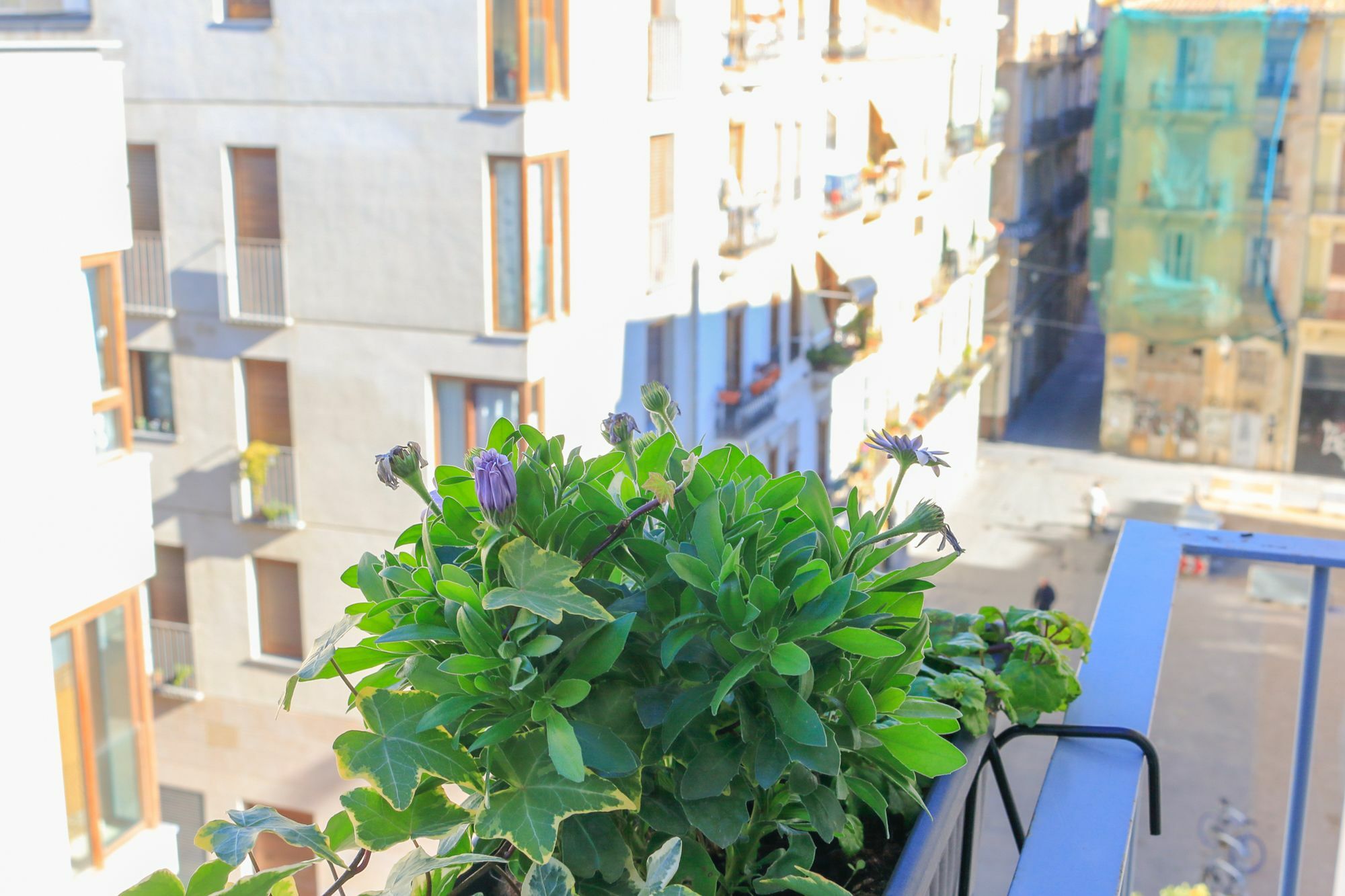 Apartment Ecobet *
