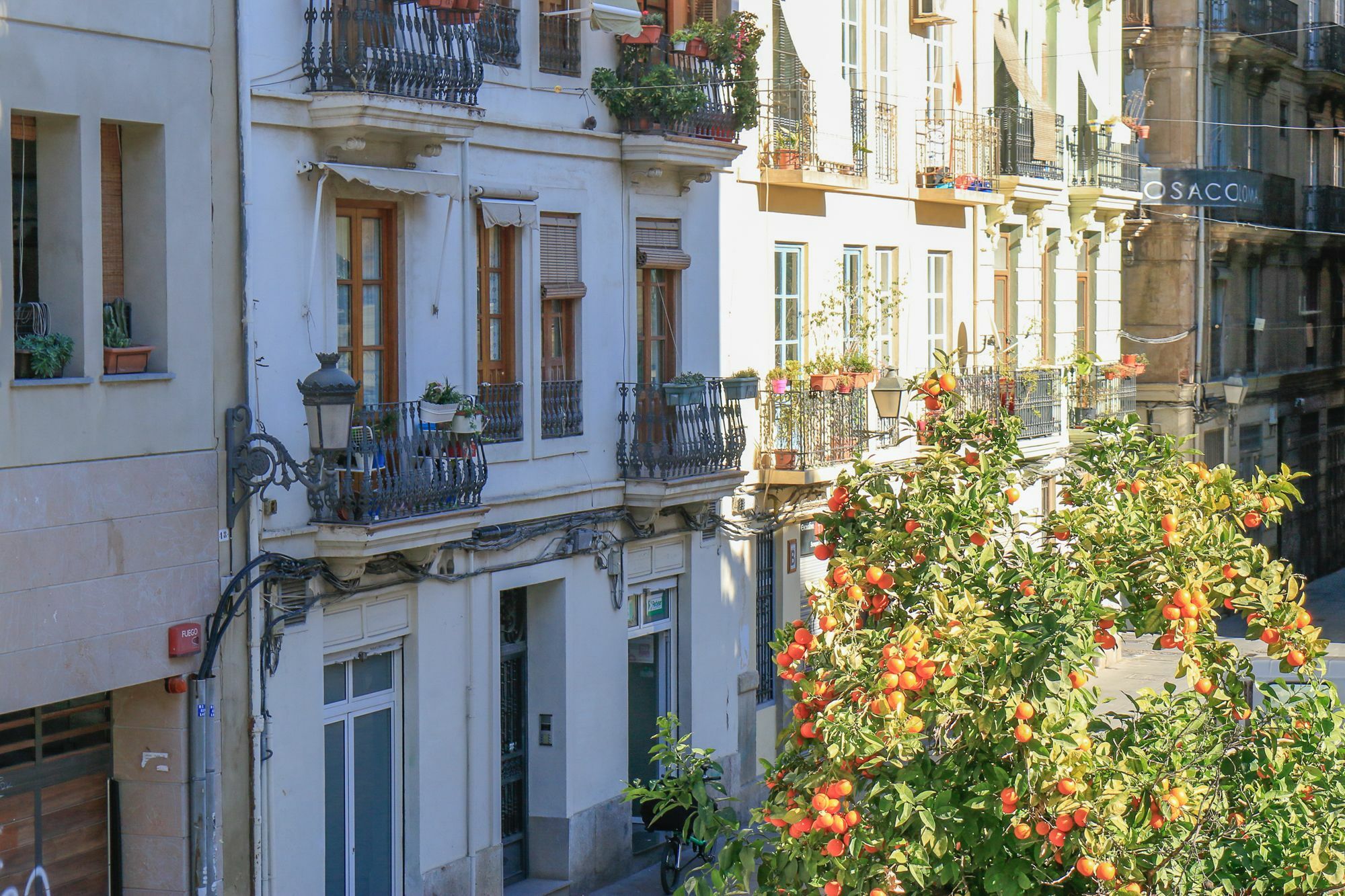 Apartment Ecobet